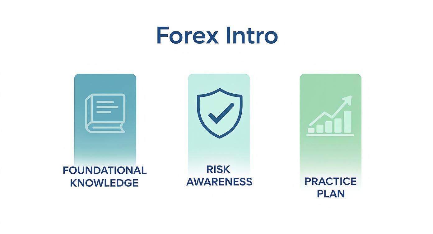 Infographic about forex trading for beginners pdf