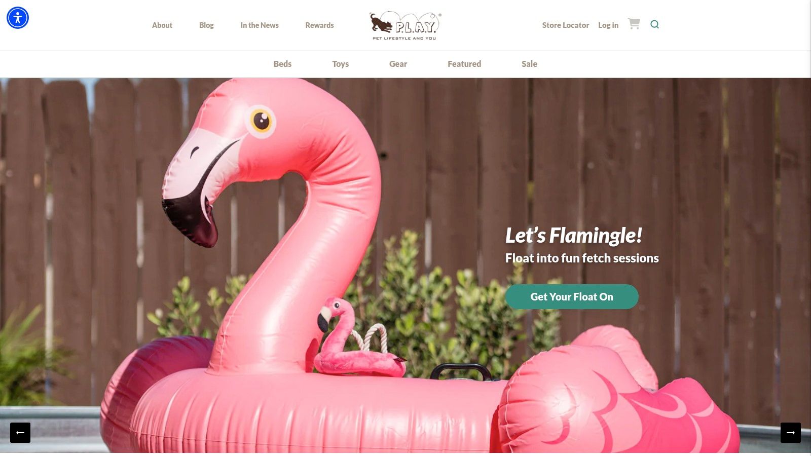 P.L.A.Y. (Pet Lifestyle and You)