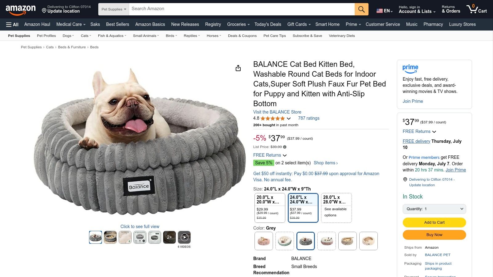 Amazon