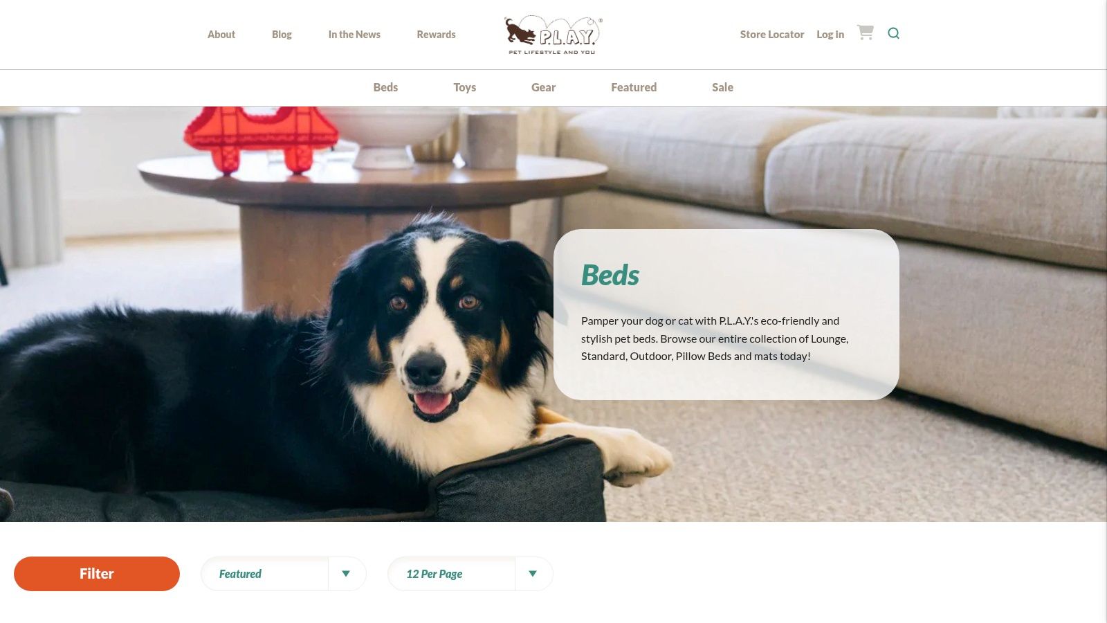 P.L.A.Y. (Pet Lifestyle and You)