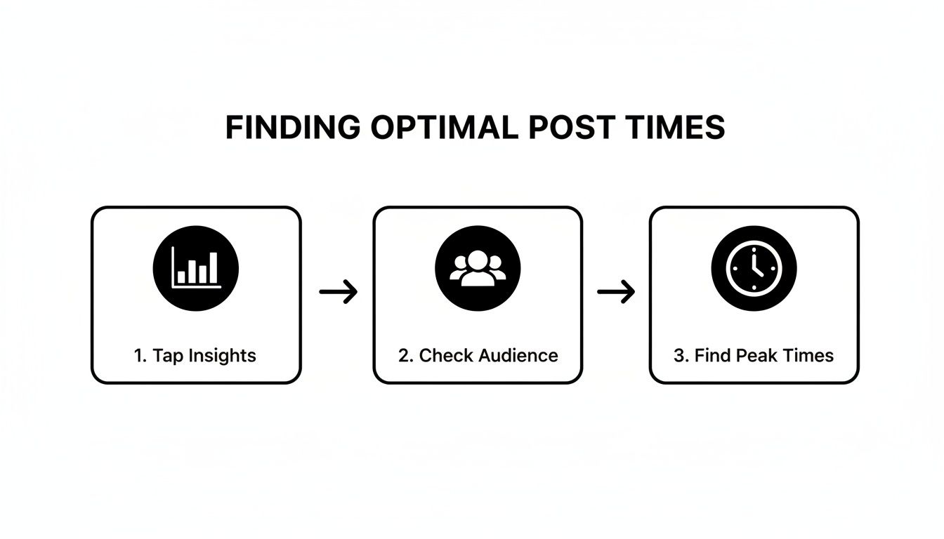 Flowchart showing three steps to find optimal post times: 1. Tap Insights (bar chart icon), 2. Check Audience (people icon), 3. Find Peak Times (clock icon).