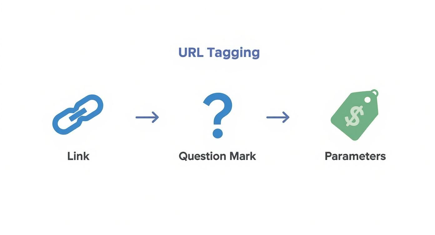 Infographic about google analytics utm parameters