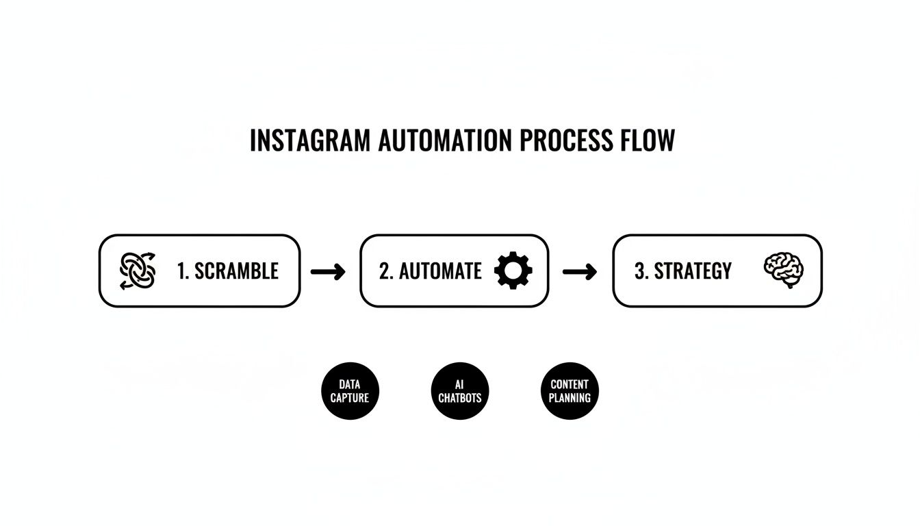 Flowchart illustrating the Instagram automation process, including scrambling, automating with AI, and strategy planning.