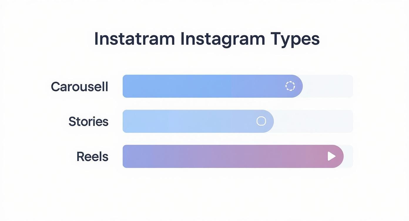 Infographic about how to grow an instagram following