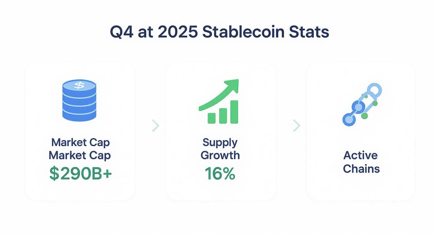 Infographic displaying Q4 2025 stablecoin statistics: market cap, supply growth, and active chains.