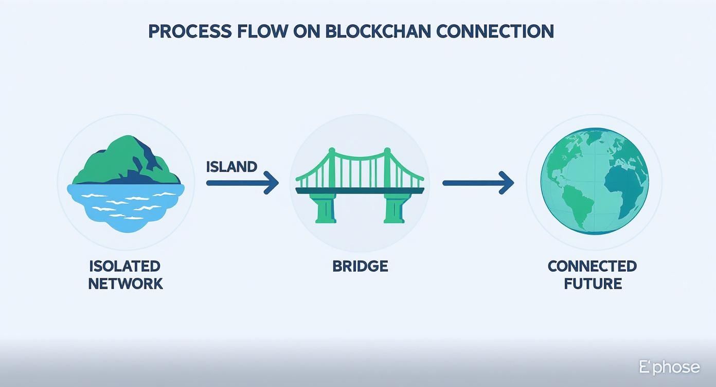 Infographic about crypto cross-chain bridges