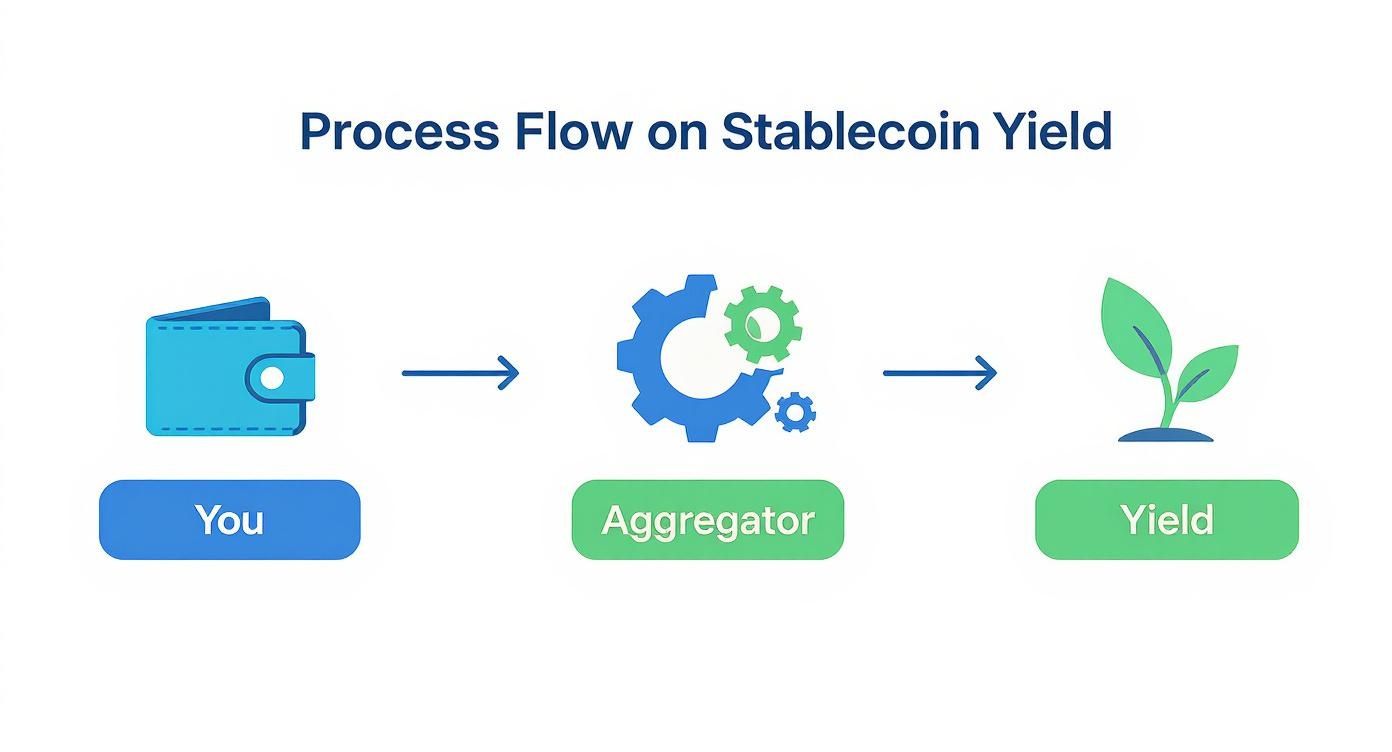 Infographic about stablecoin yield aggregator