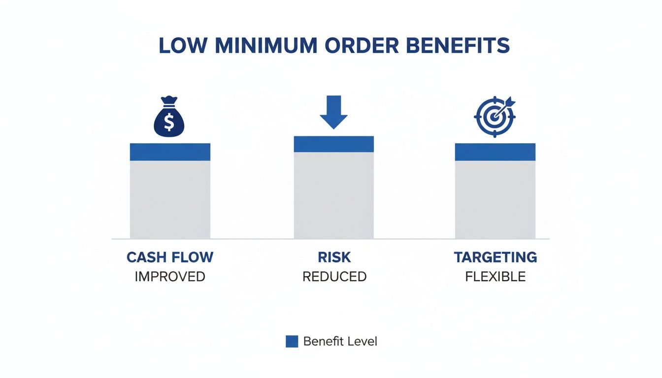 An infographic illustrating three benefits of low minimum orders: improved cash flow, reduced risk, and flexible targeting.