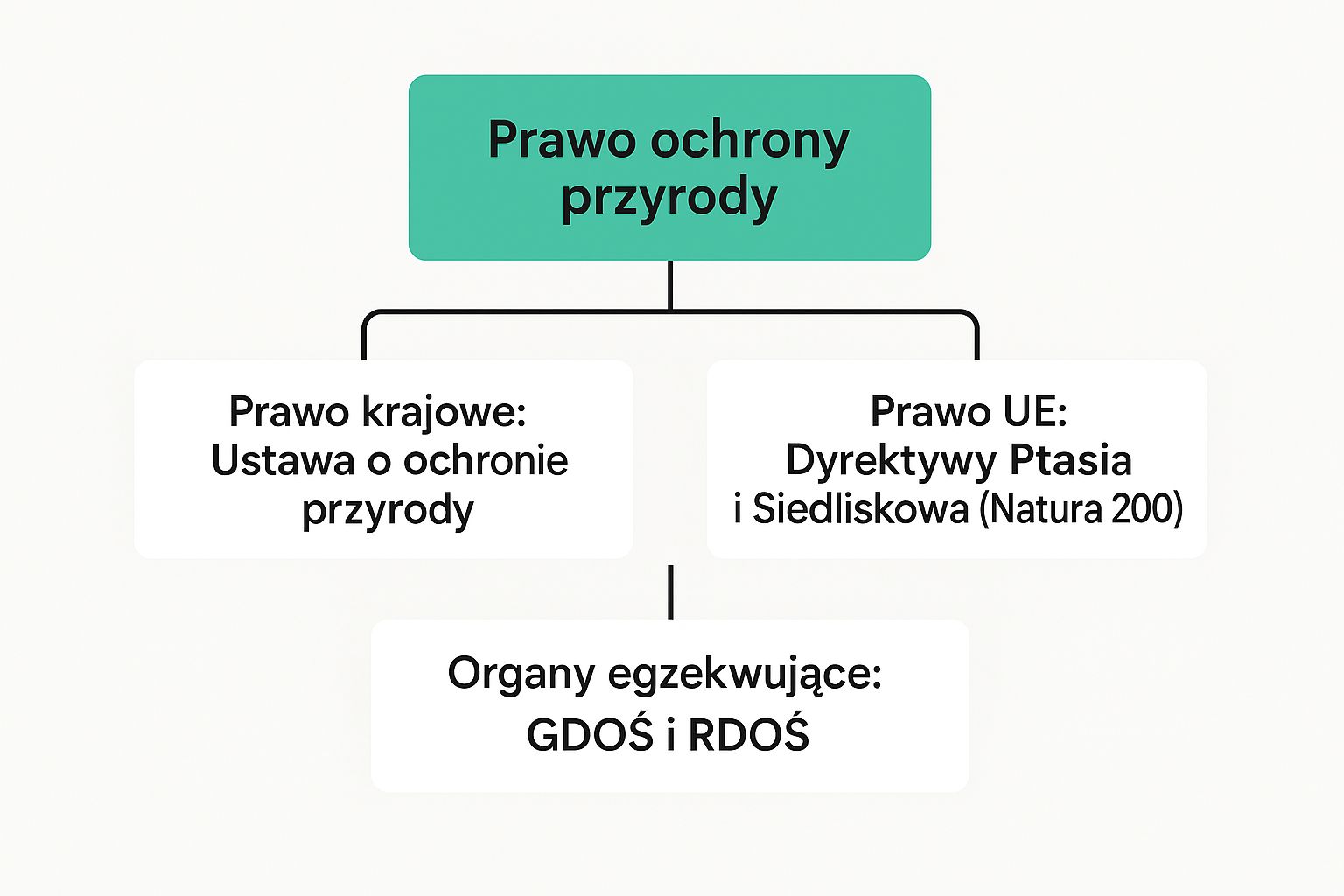 Infografika przedstawiająca hierarchię prawa ochrony przyrody w Polsce, od prawa krajowego i unijnego po organy egzekwujące.