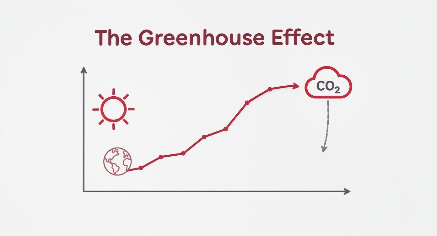 Infographic about zmiany klimatyczne w polsce