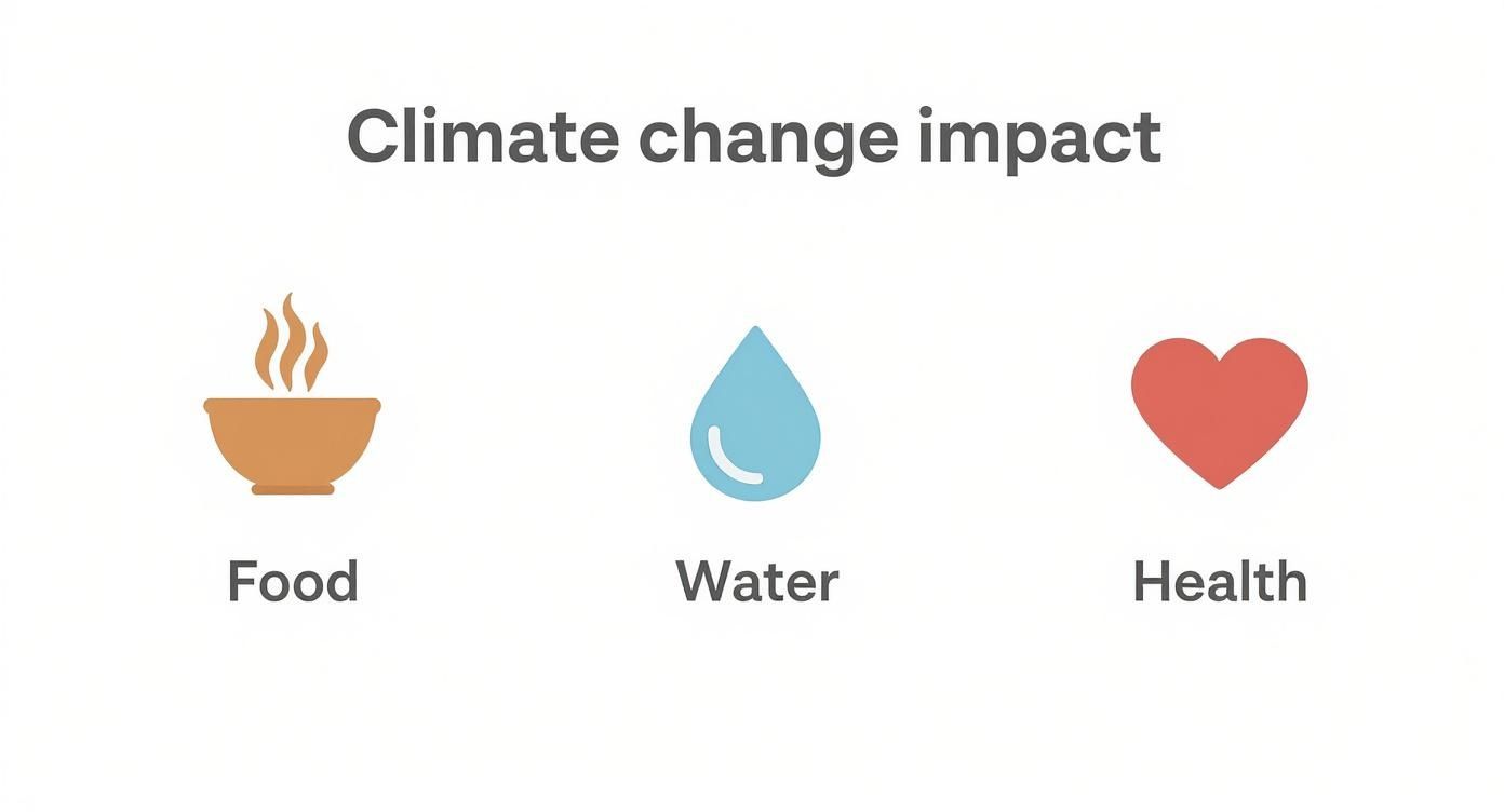 Wpływ zmiany klimatu na żywność, wodę i zdrowie przedstawiony za pomocą ikon miski, kropli wody i serca