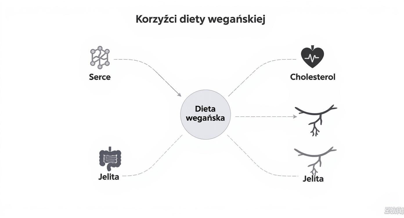 Infographic about czy dieta wegańska jest zdrowa
