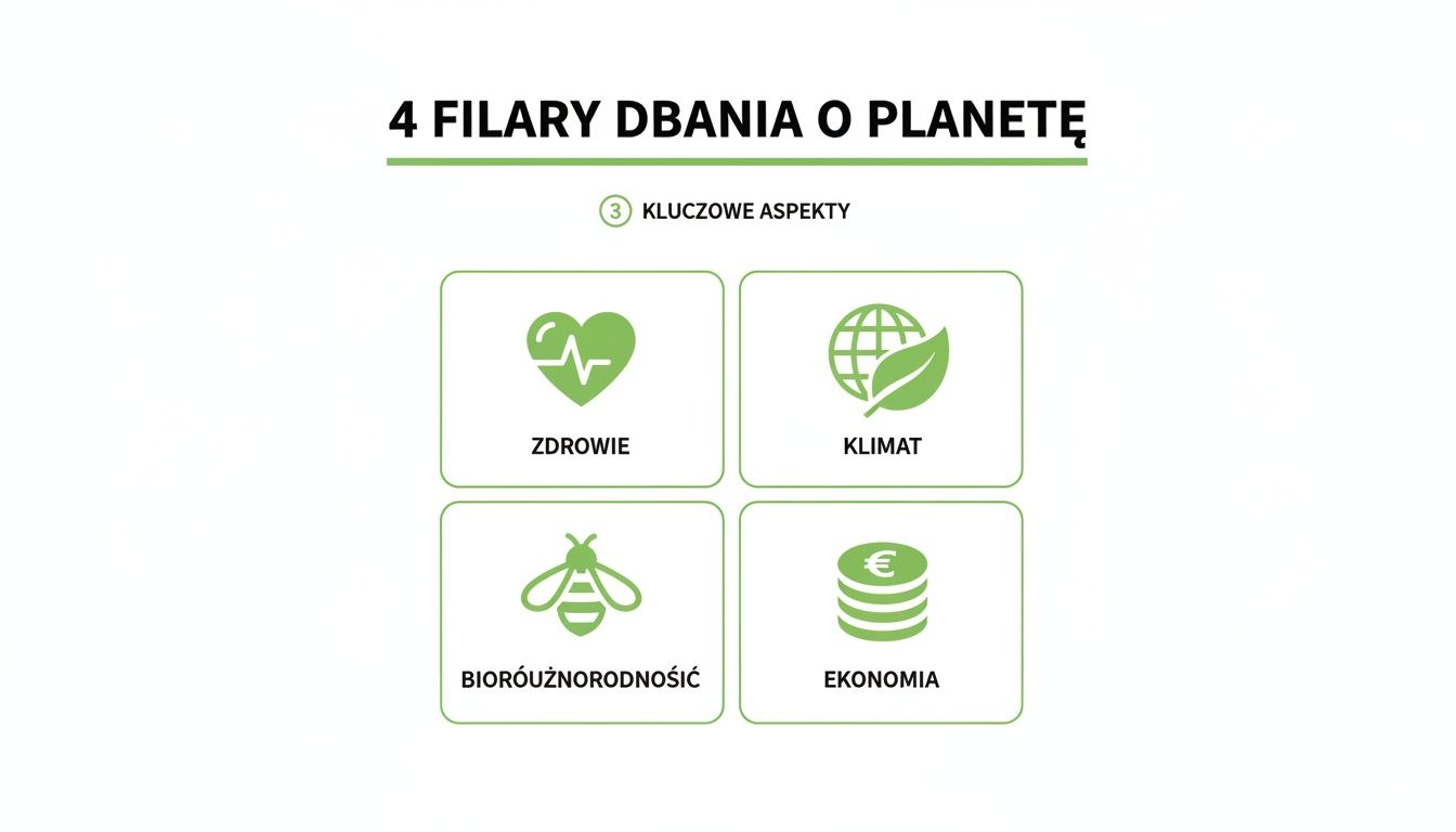 Infografika prezentująca cztery kluczowe filary dbania o planetę: zdrowie, klimat, bioróżnorodność i ekonomię.