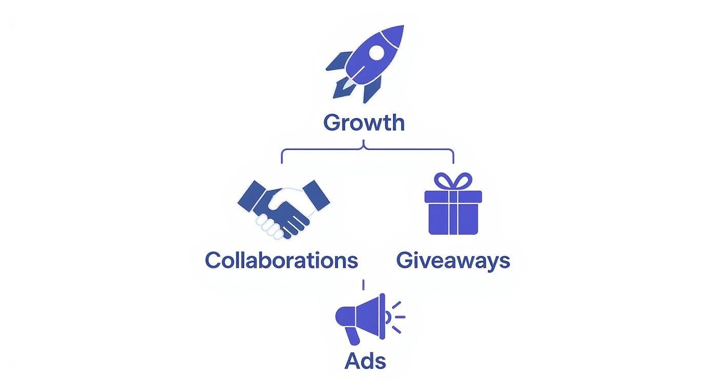 Infographic about how to grow your instagram followers