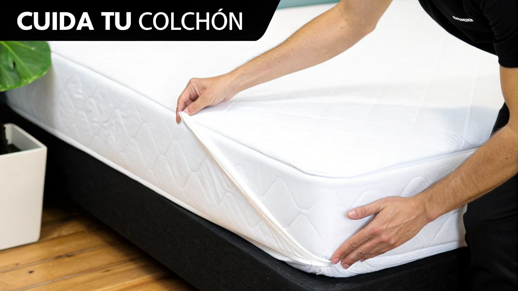 Una persona coloca una funda protectora blanca con cremallera sobre un colchón para cuidarlo y protegerlo.