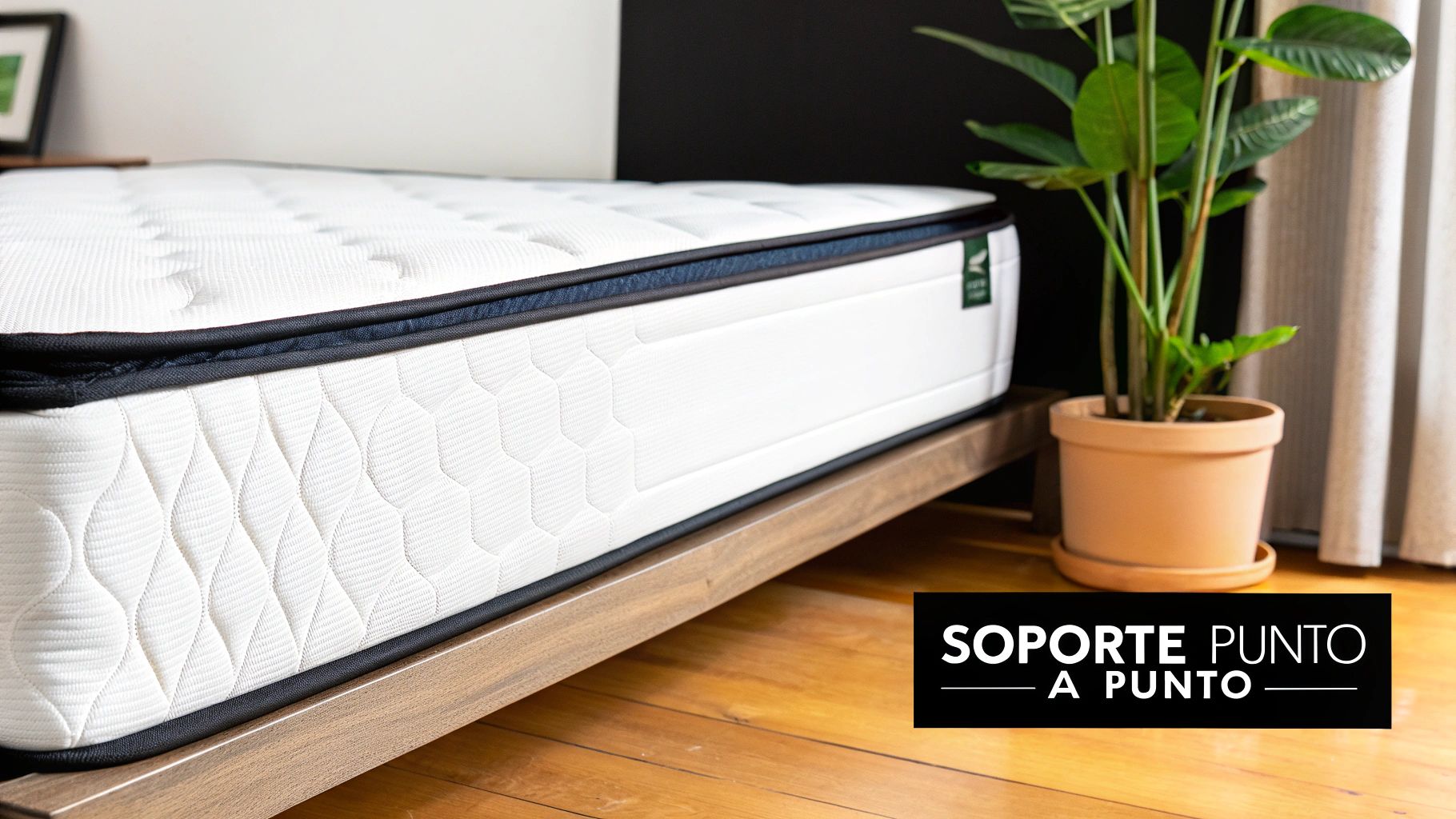 Colchón blanco con detalles negros sobre una base de madera en un dormitorio moderno, con una planta.