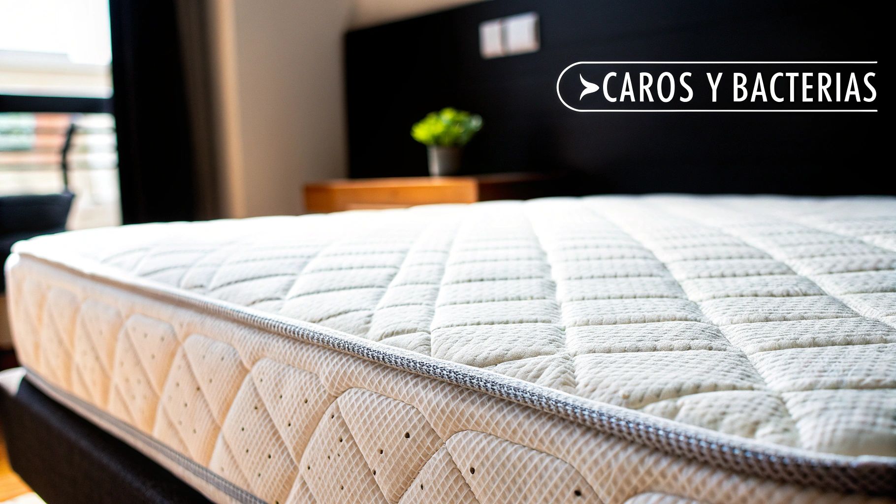 Colchón blanco y acolchado en un dormitorio, con un letrero que dice 'Caros y Bacterias'.