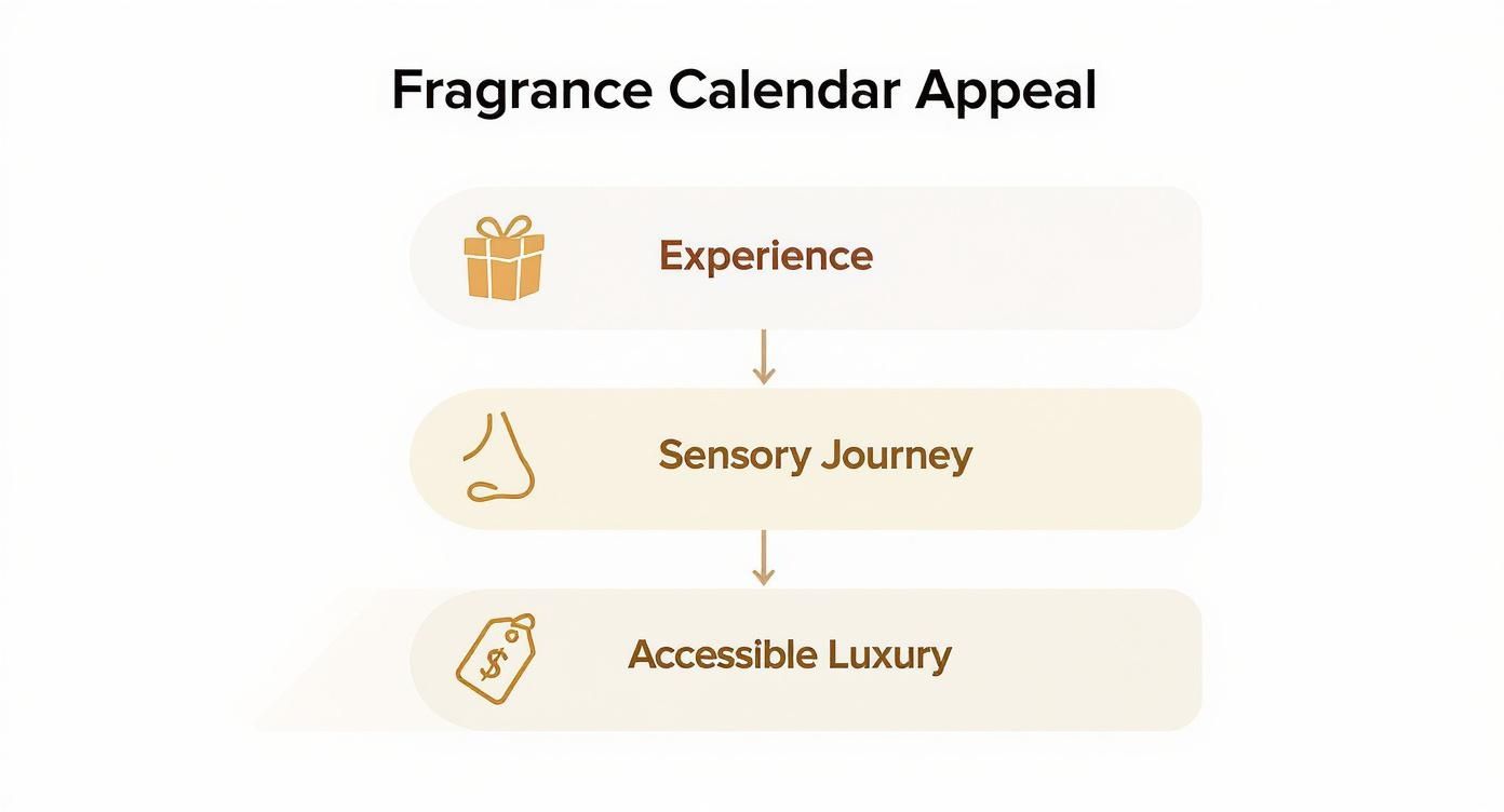 Flowchart showing fragrance calendar appeal stages from experience through sensory journey to accessible luxury