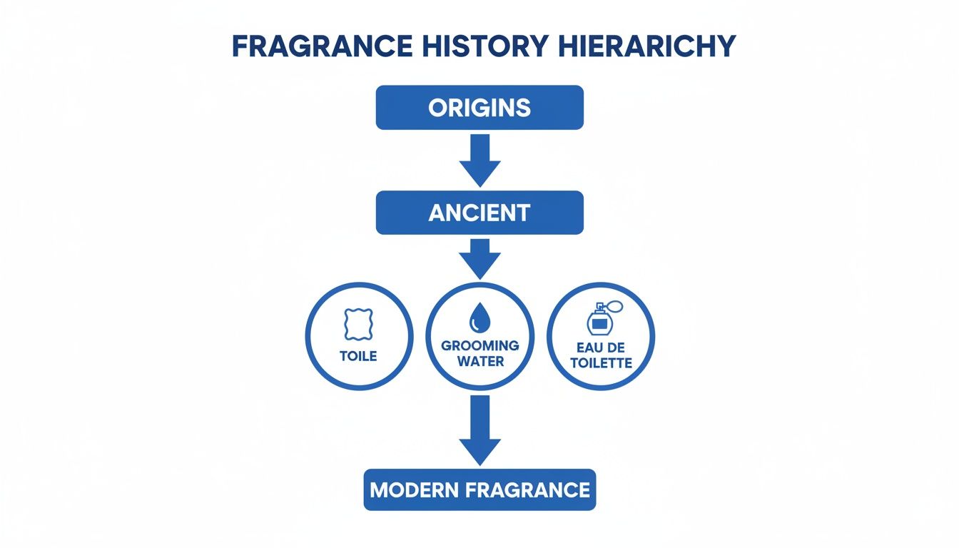 A flowchart illustrates the fragrance history hierarchy from origins to modern fragrance, featuring toile, grooming water, and eau de toilette.