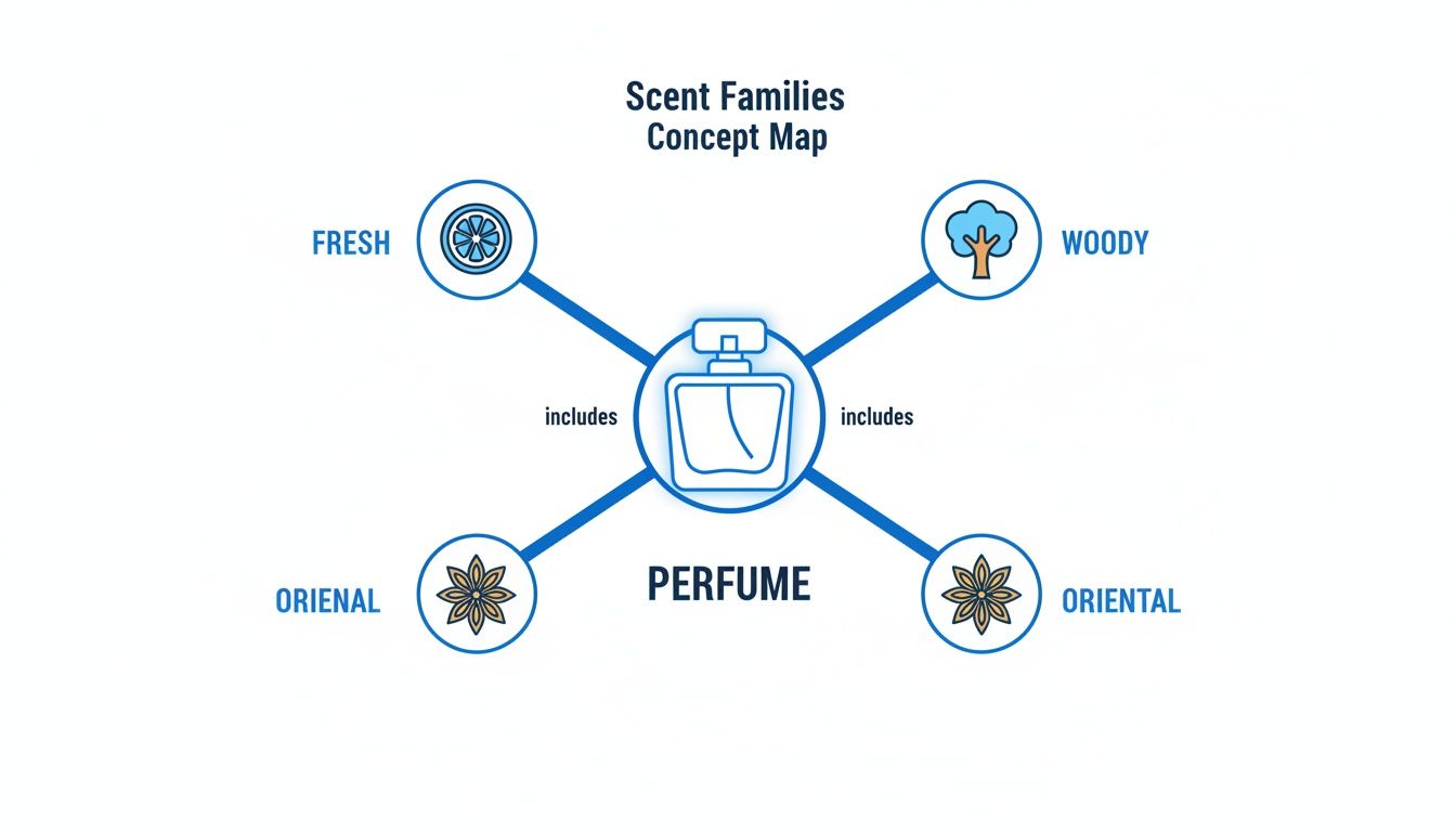 Perfume scent families concept map showing fresh, woody, and oriental fragrance notes.