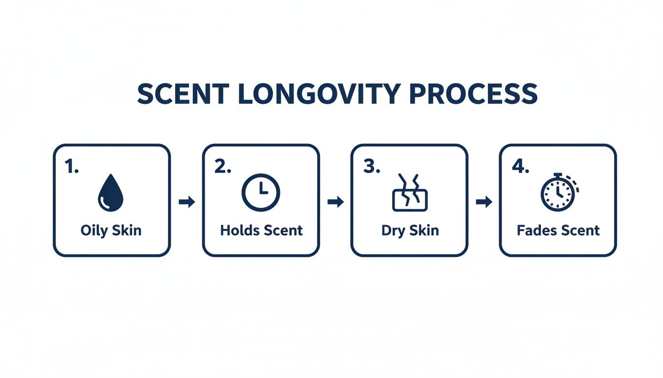 A diagram illustrating the scent longevity process: oily skin holds scent, while dry skin causes scent to fade.