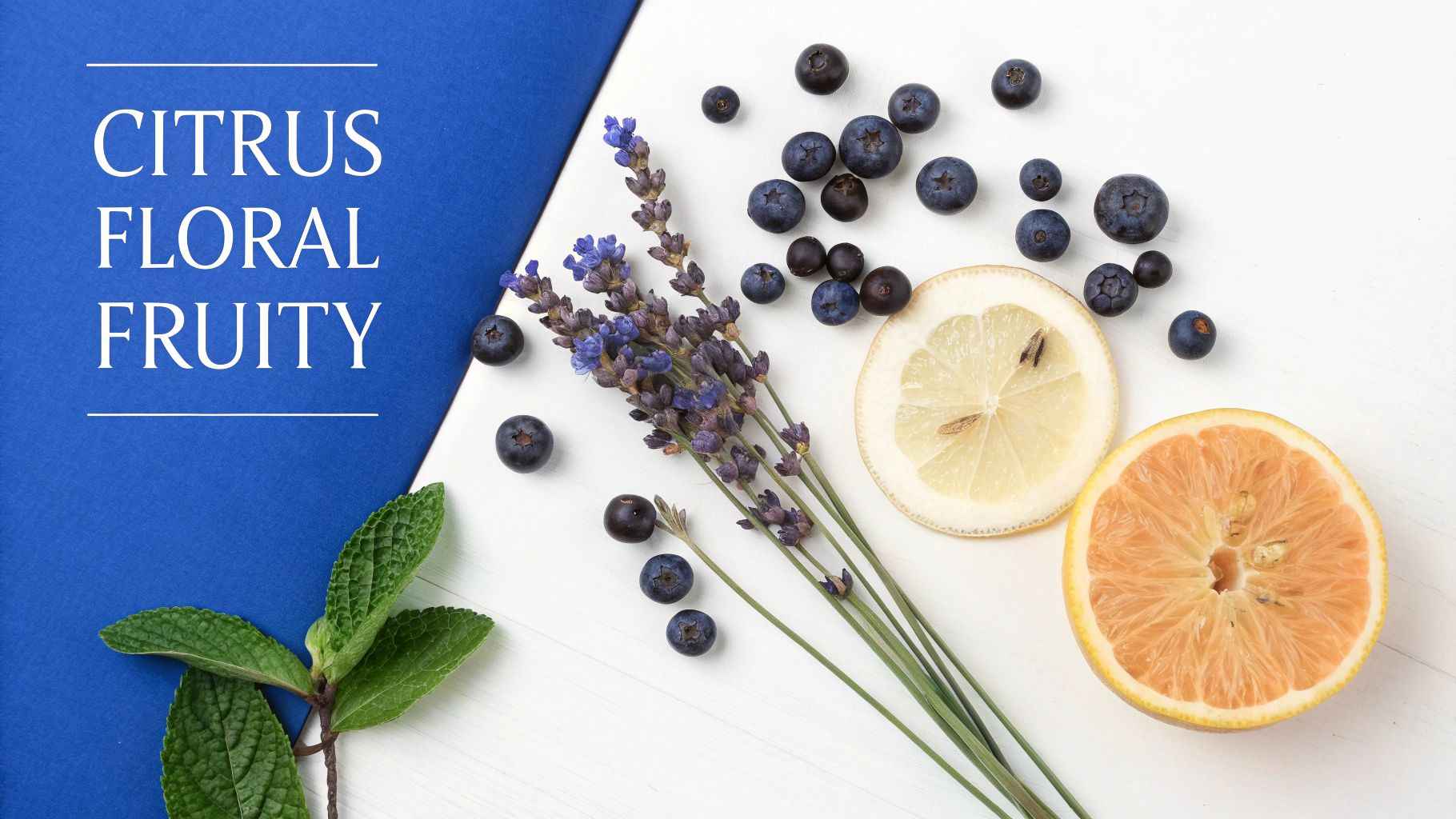 Blueberries, lavender, lemon, grapefruit, and mint with 'CITRUS FLORAL FRUITY' text on a blue and white background.