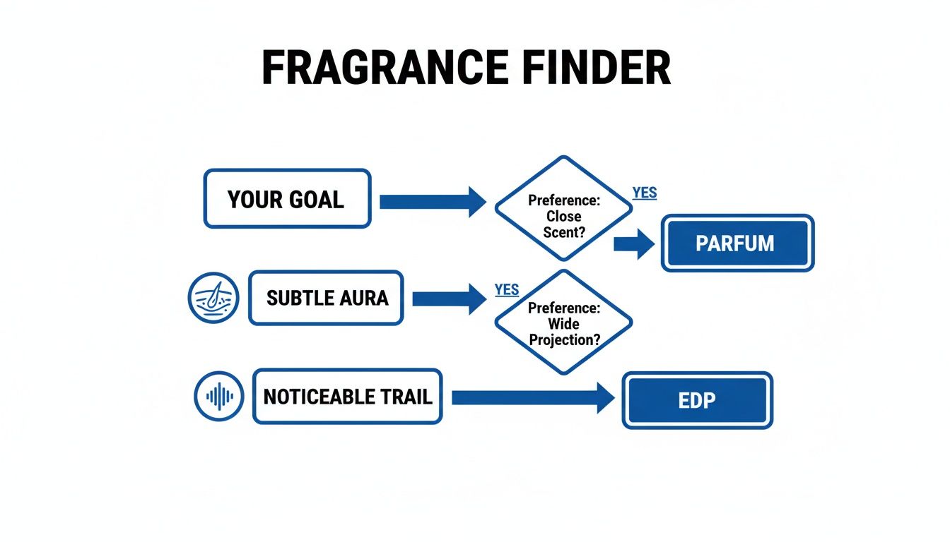 A flowchart titled 'FRAGRANCE FINDER' helping choose between Parfum and EDP based on scent preference and projection.