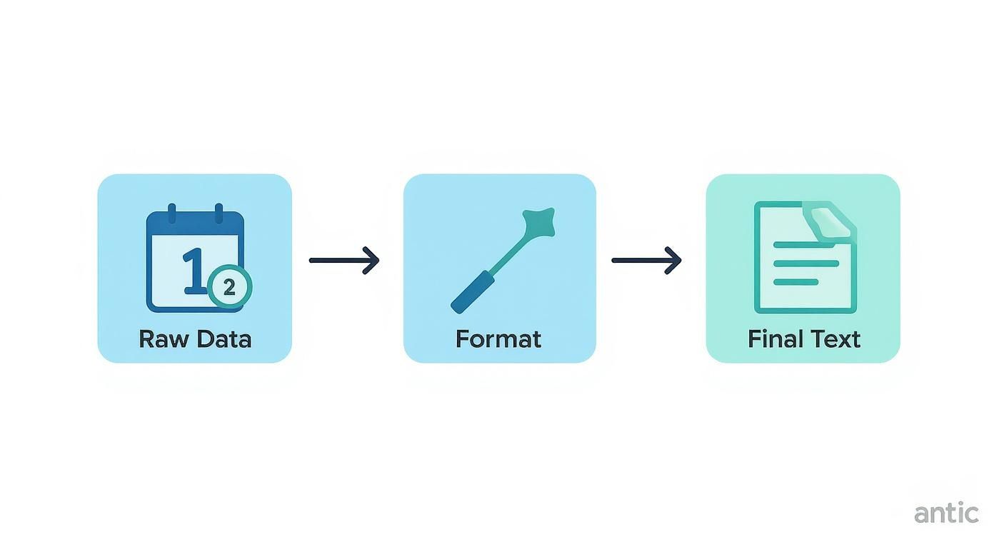 A workflow diagram illustrating the transformation of raw data into final text via a formatting step.