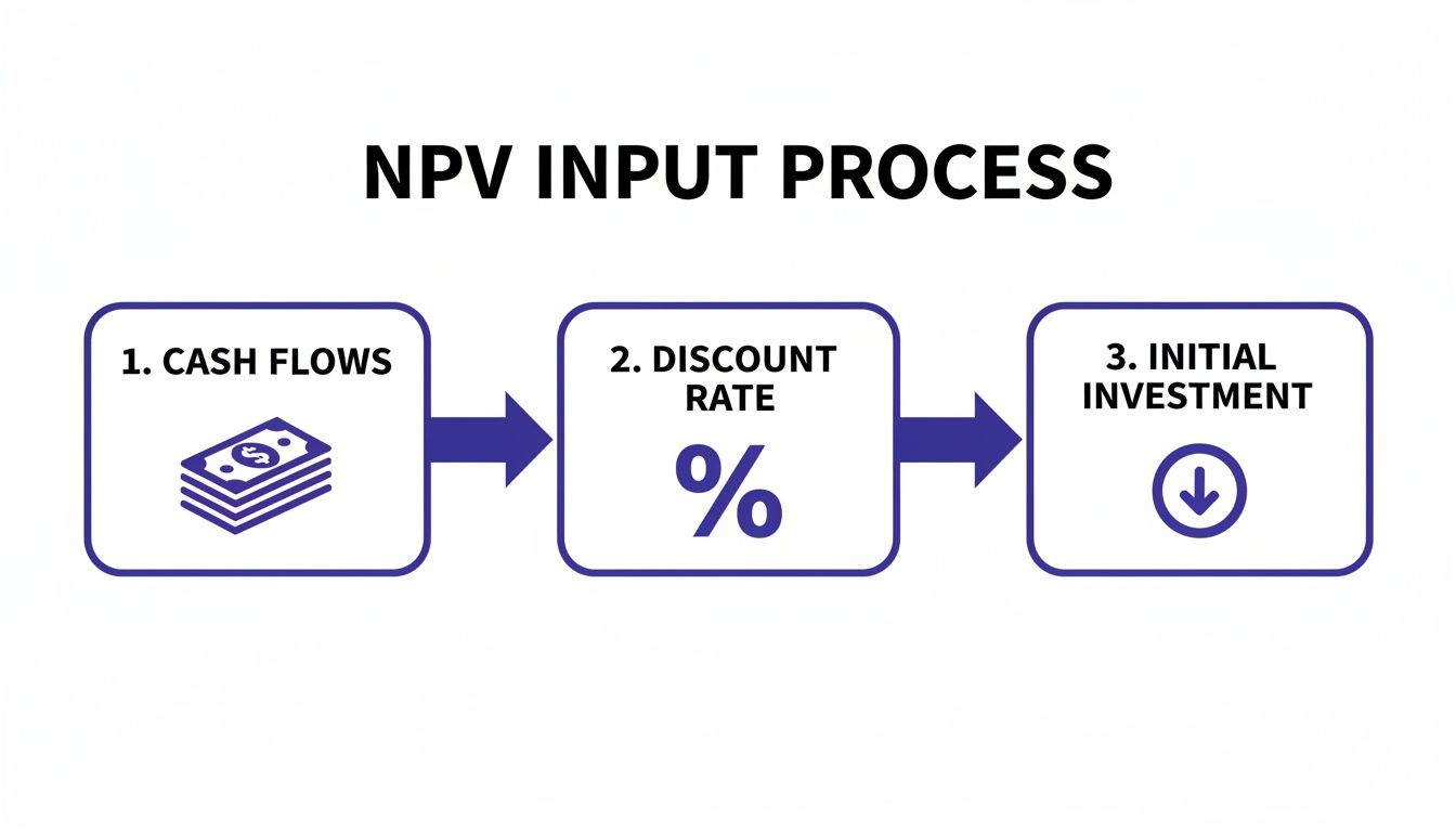 A flowchart showing the NPV input process: 1. Cash Flows, 2. Discount Rate, 3. Initial Investment.