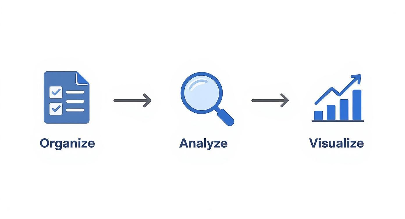 A data process flowchart showing steps: Organize (document), Analyze (magnifying glass), and Visualize (bar chart).