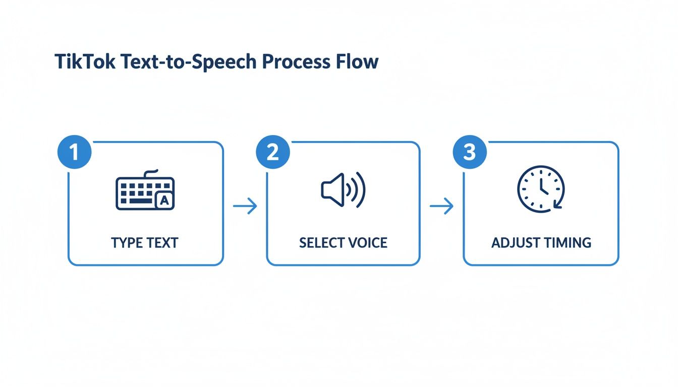 A flowchart illustrates the TikTok text-to-speech process, showing steps to type text, select voice, and adjust timing.