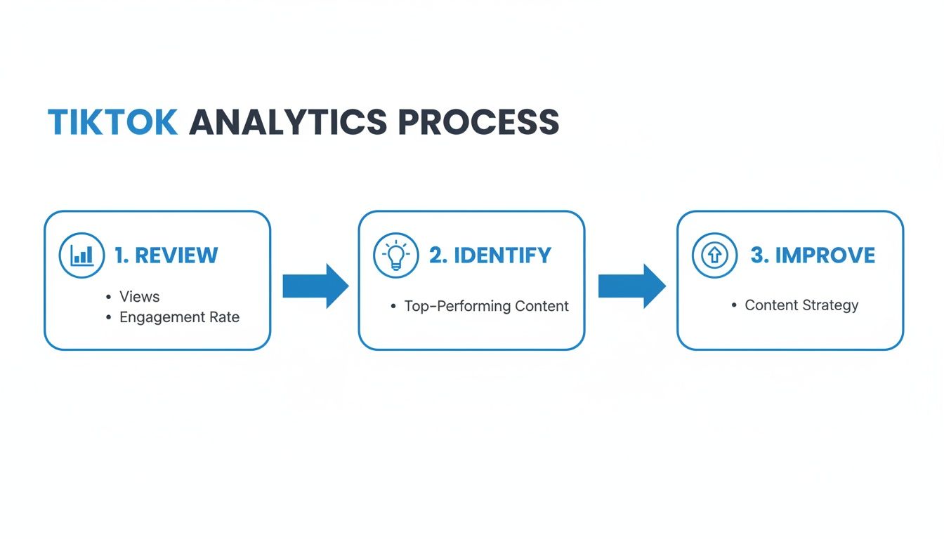 Visual diagram explaining the TikTok analytics process: review views, identify top content, and improve strategy.