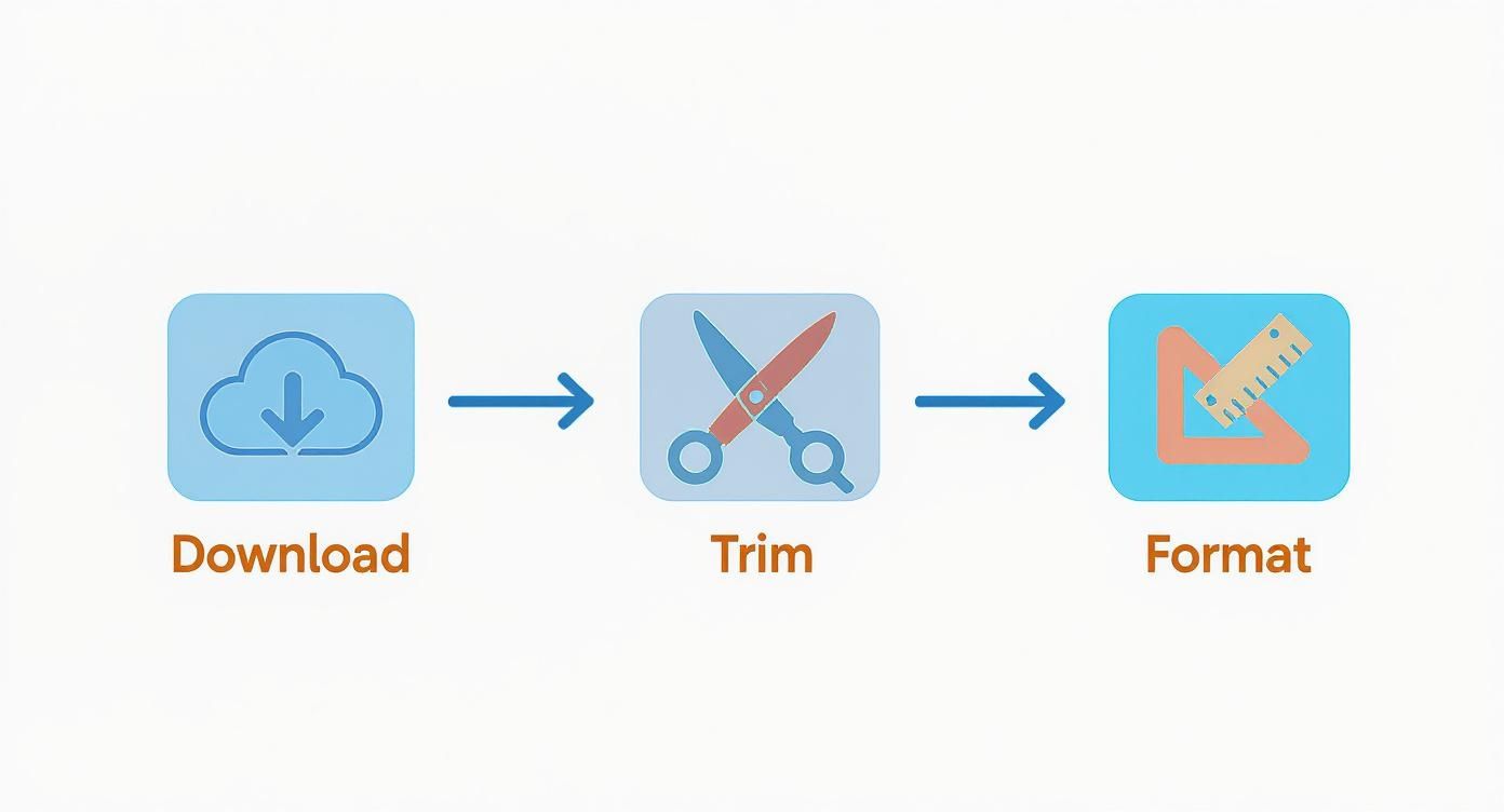 Infographic showing a three-step process: a cloud icon for 'Download', scissors for 'Trim', and a ruler for 'Format', indicating the steps to prepare a YouTube video for Instagram.
