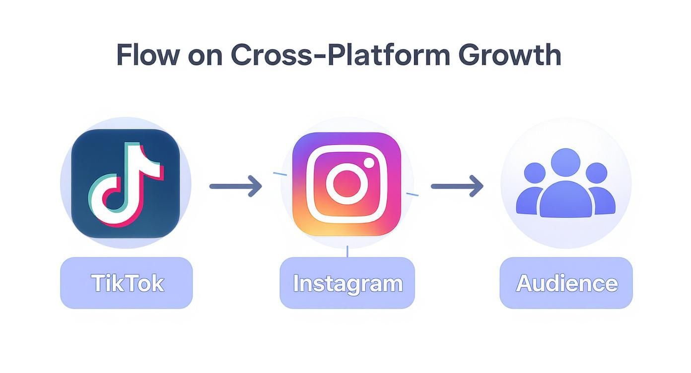 Infographic about link instagram to tiktok