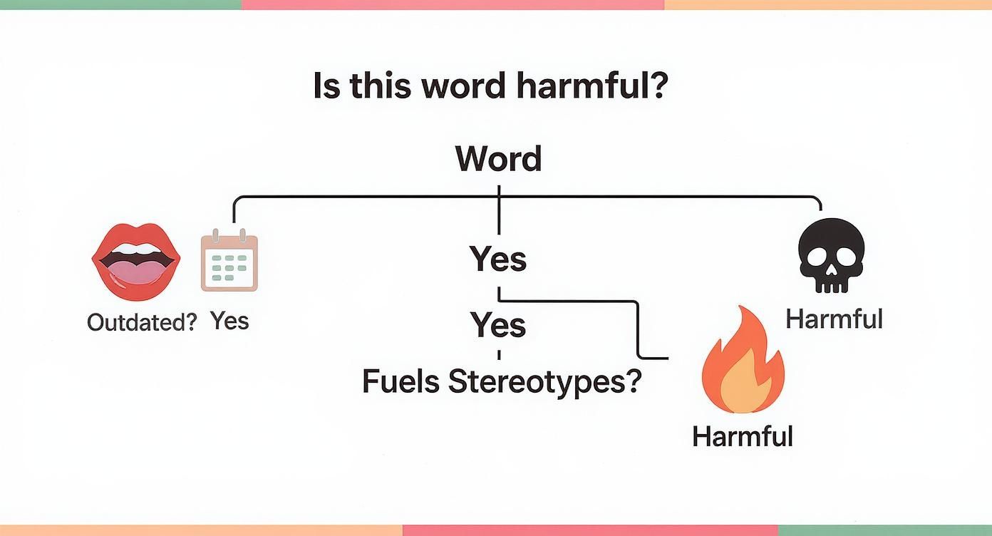 Infographic decision tree asking 'Is this word harmful?', starting with 'Word', moving to 'Outdated?', then 'Fuels Stereotypes?', and ending in 'Harmful'.