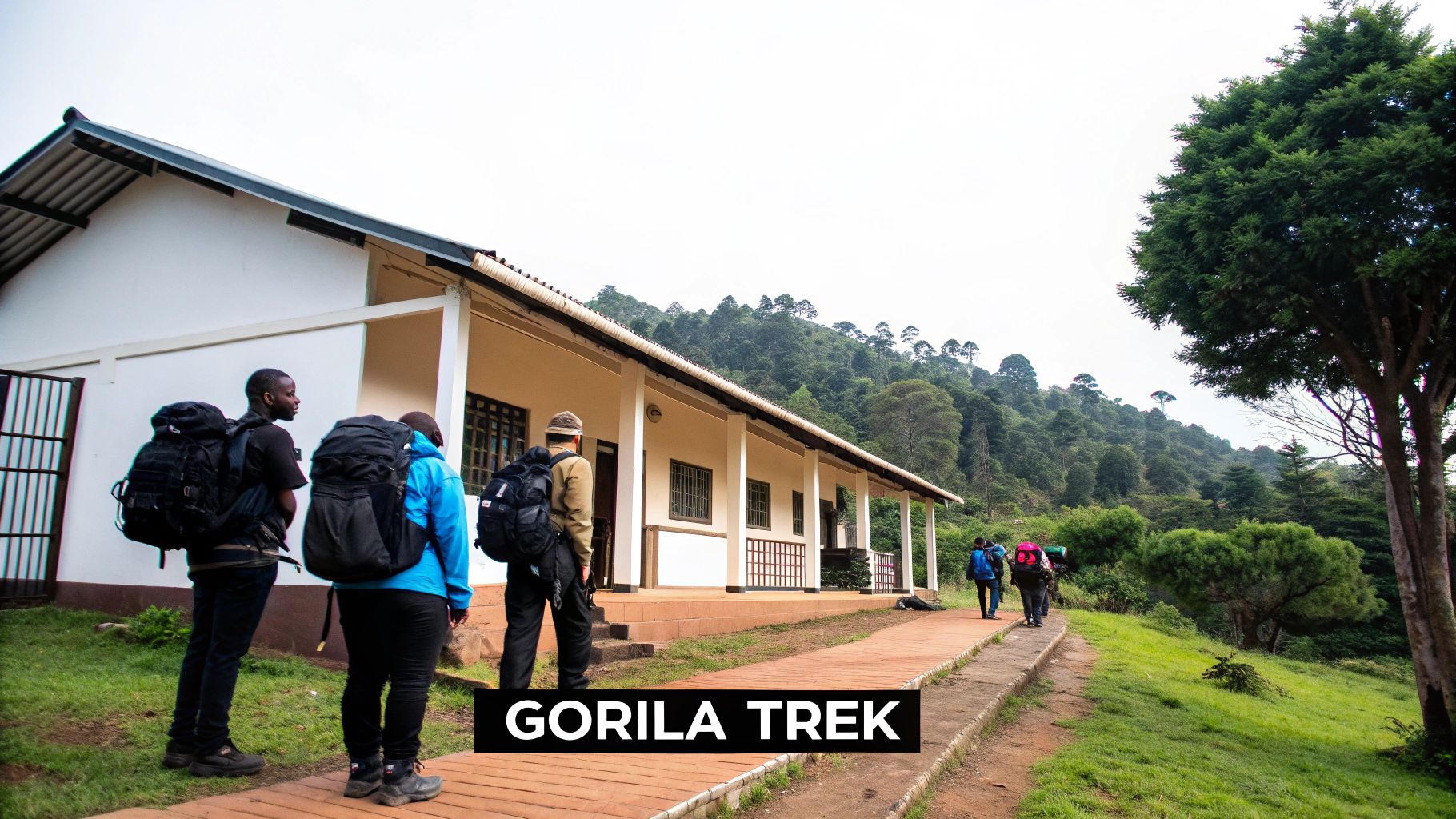 Group of trekkers in the Bwindi Impenetrable Forest