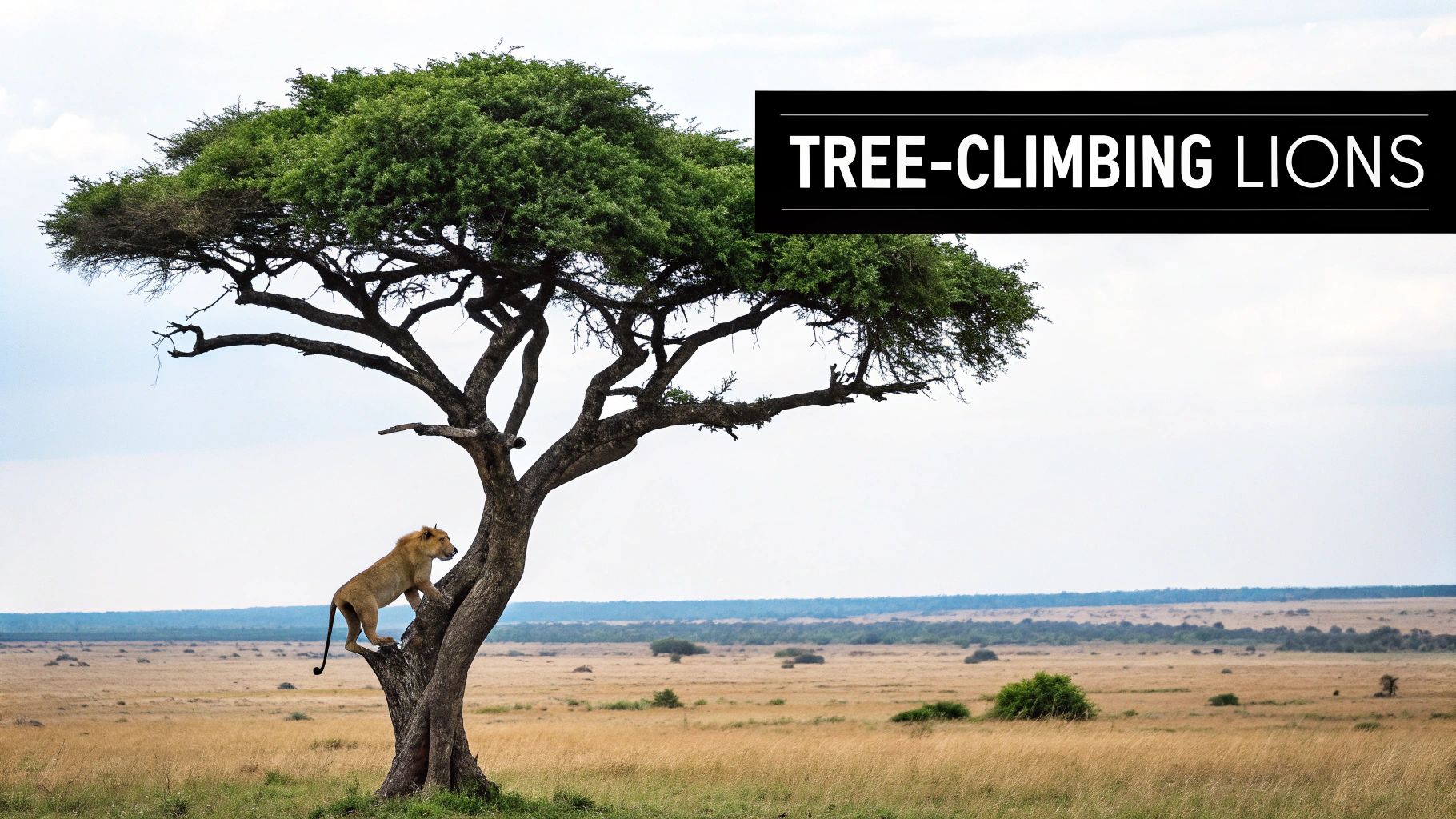 Queen Elizabeth National Park