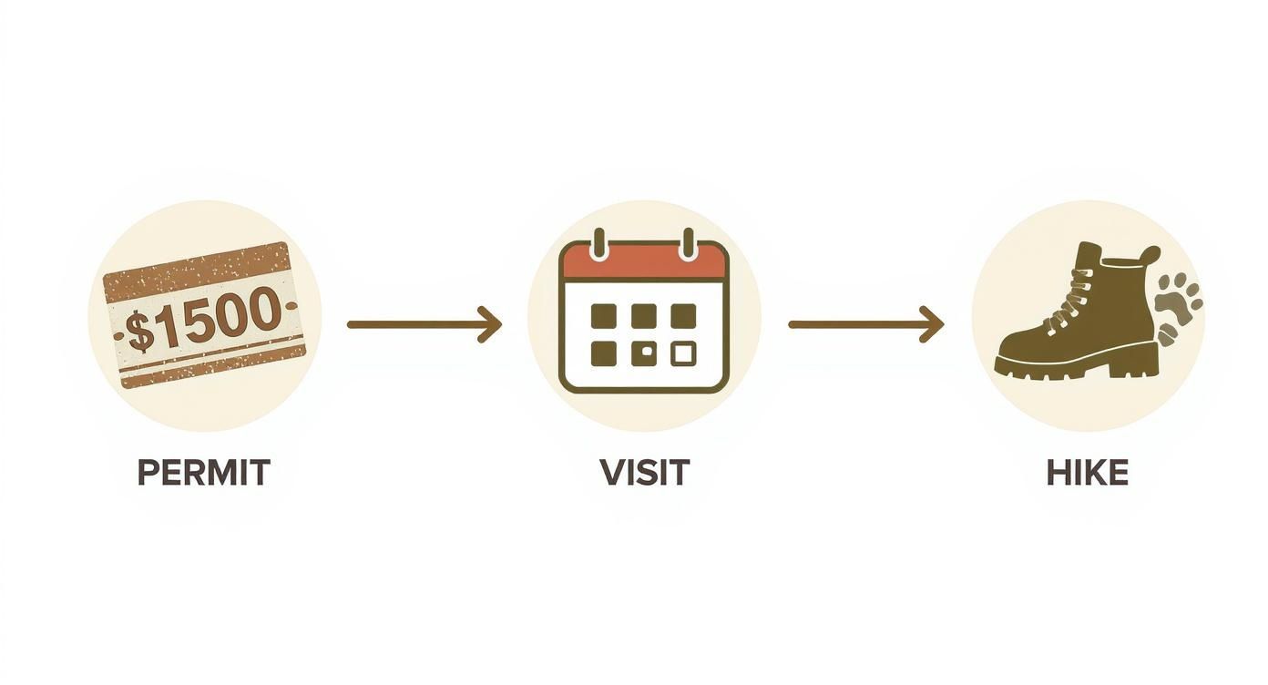 Infographic about gorilla trekking in rwanda