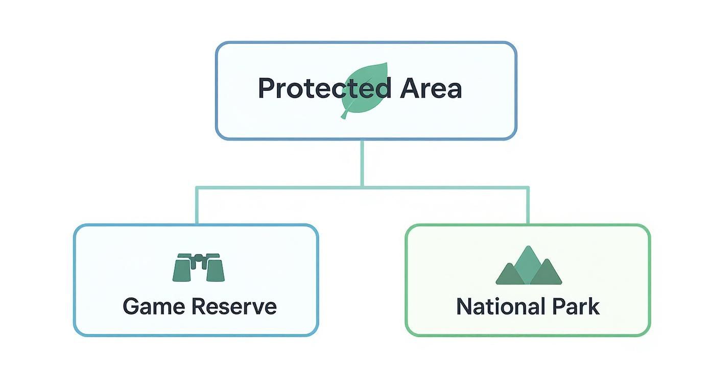 Infographic comparing game reserves and national parks under the umbrella of protected areas.