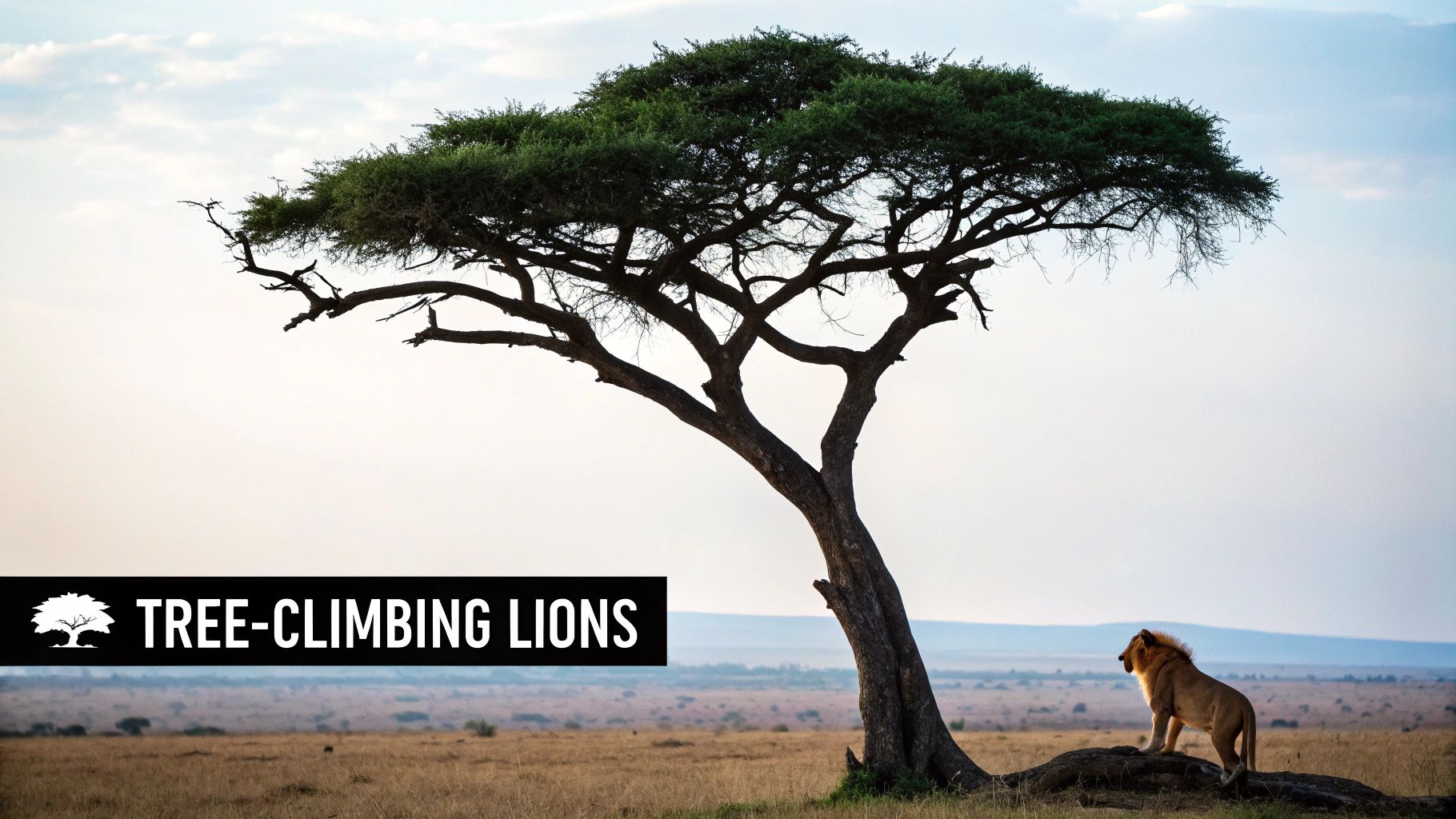 Queen Elizabeth National Park