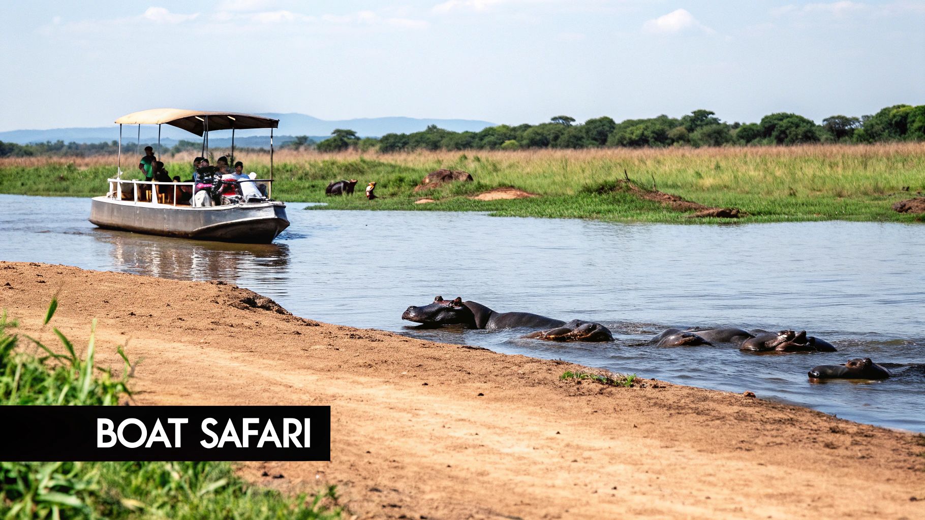 Elephants on a game drive near Queen Elizabeth Bush Lodge