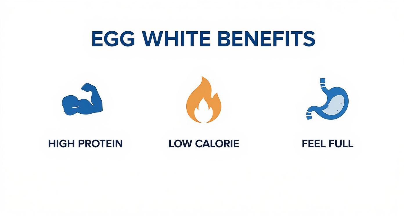 Infographic about calories in a boiled egg without the yolk
