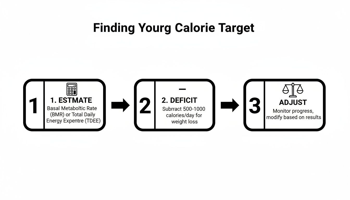 A three-step process for finding your calorie target for weight loss, including estimation, deficit, and adjustment.