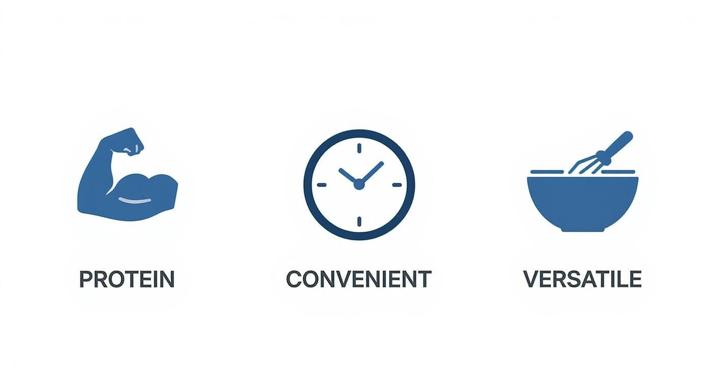 Infographic displaying three icons: a bicep for protein, a clock for convenient, and a bowl for versatile.