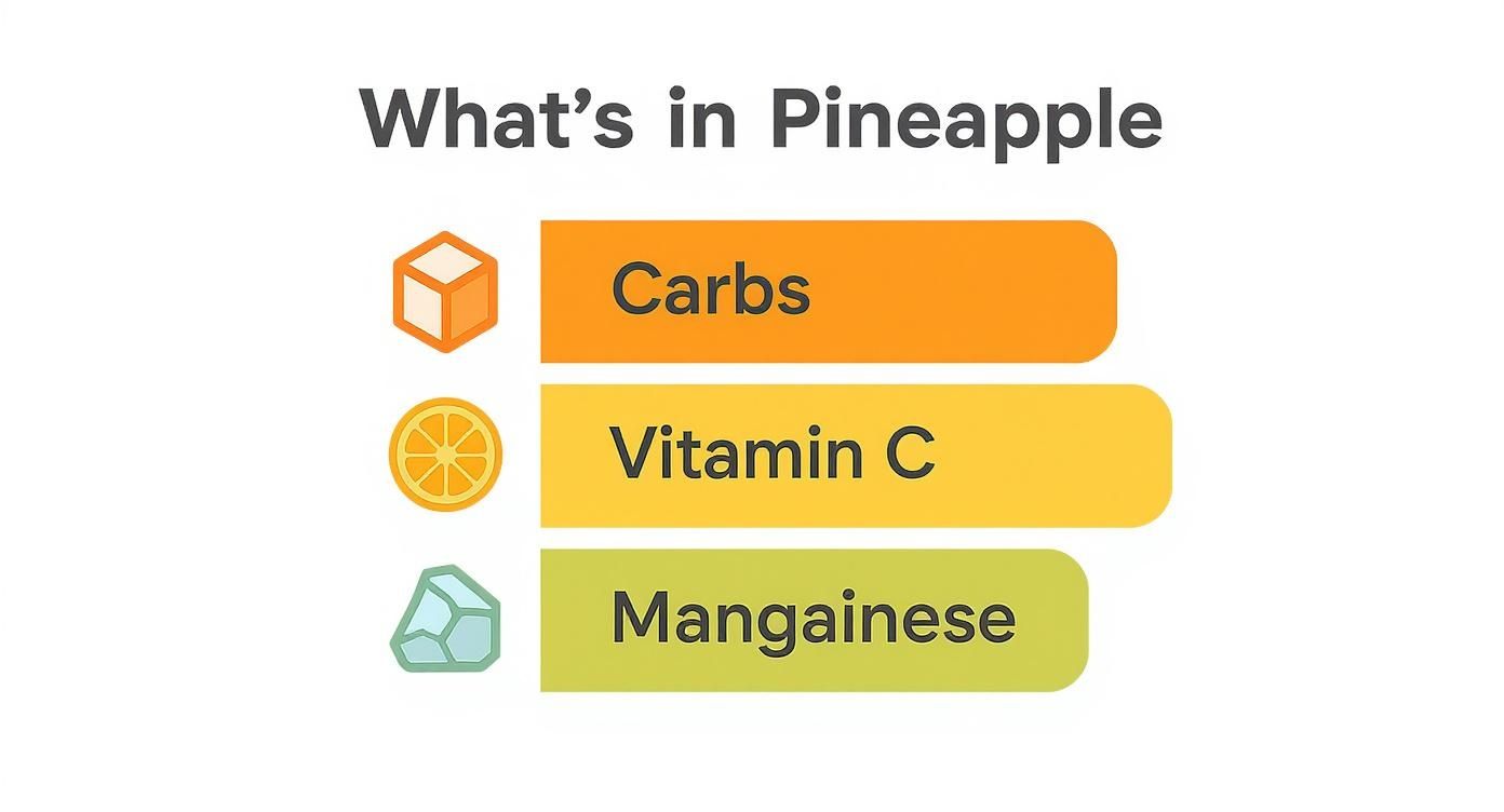 An infographic titled 'What's in Pineapple', listing carbs, Vitamin C, and manganese.