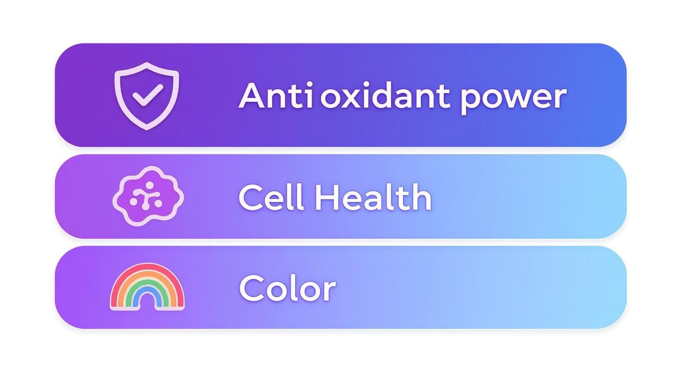 Three gradient purple to blue buttons featuring antioxidant power, cell health, and color with icons