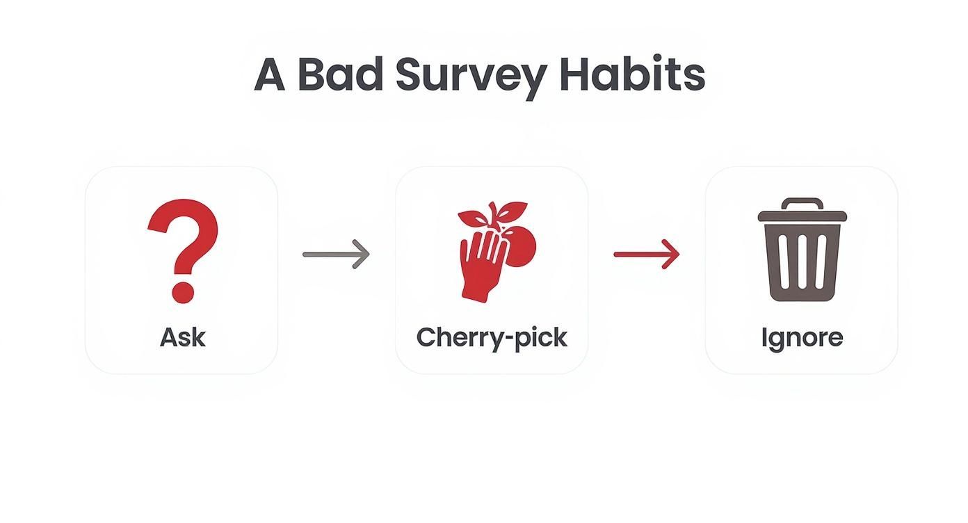 A flowchart illustrates bad survey habits: asking, cherry-picking data, and ignoring results.