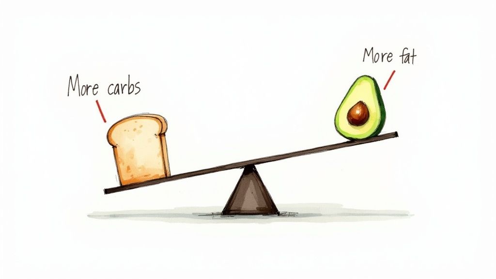 An illustration comparing a slice of bread (labeled 'More carbs') and an avocado (labeled 'More fat') on a balance scale.