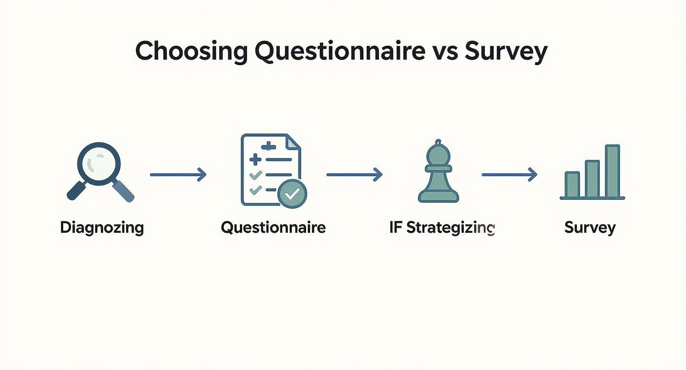 Infographic about difference between questionnaire and survey