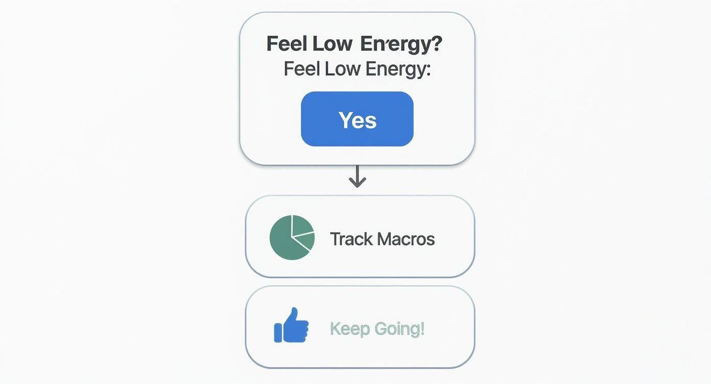 Infographic decision tree asking 'Feel Low Energy?'. If yes, it leads to 'Track Macros'. If no, it leads to 'Keep Going!'.